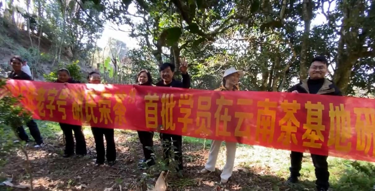 2025年老字号胡氏荣茶第一期学员在云南茶基地研学